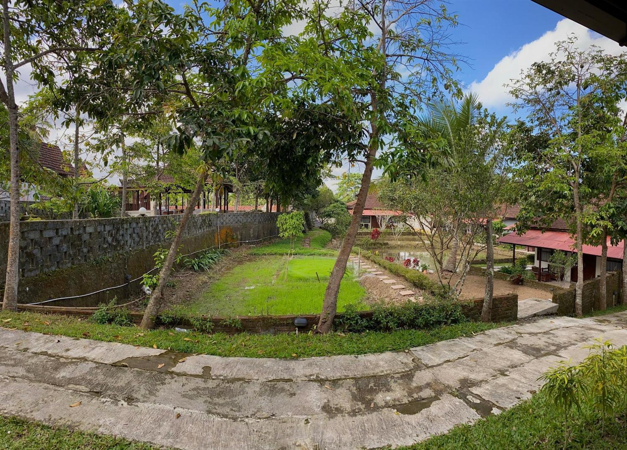 Villa Kampoeng Joglo Ijen Banyuwangi  Exterior foto