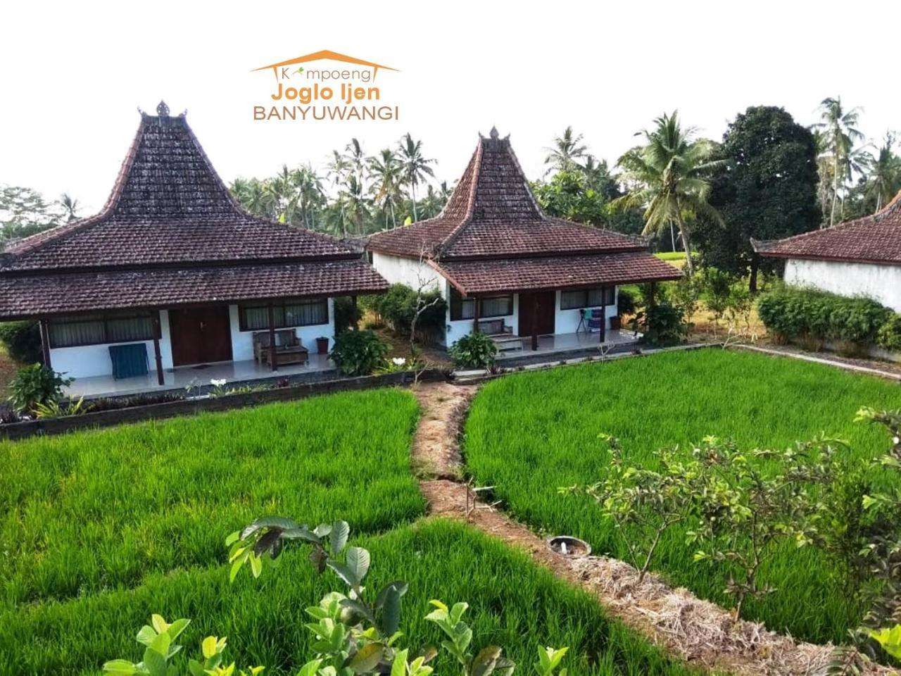 Villa Kampoeng Joglo Ijen Banyuwangi  Exterior foto